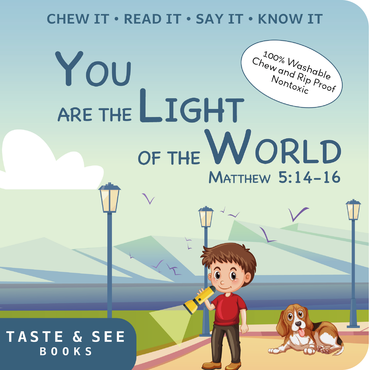 Front cover of Taste & See Books You are the Light of the World